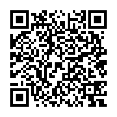 QR code for CSG6387