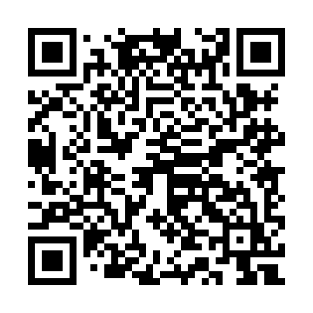 QR code for CT08IZ