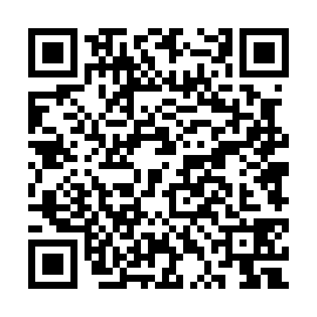 QR code for CTD0381