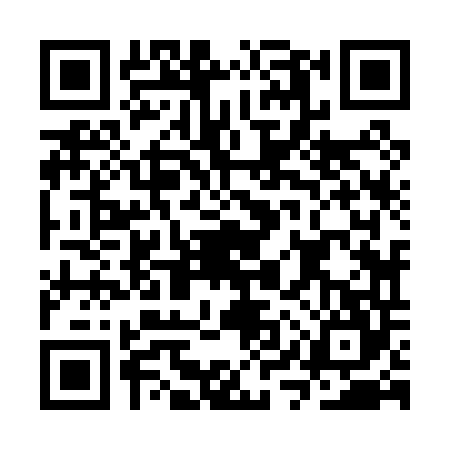 QR code for CYZ0441