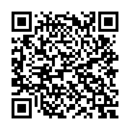 QR code for CZ96ZE