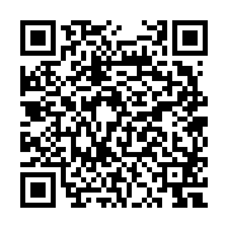 QR code for CZC6823
