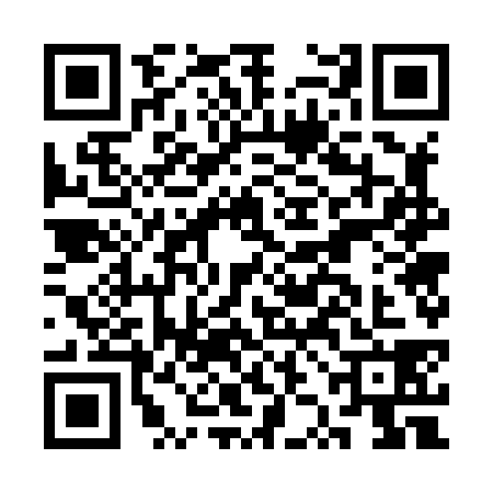 QR code for CZG8380