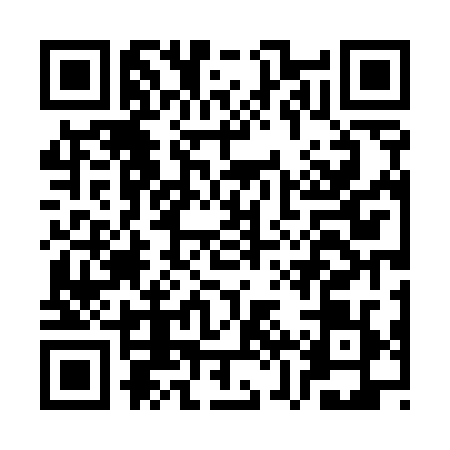 QR code for CZT5296