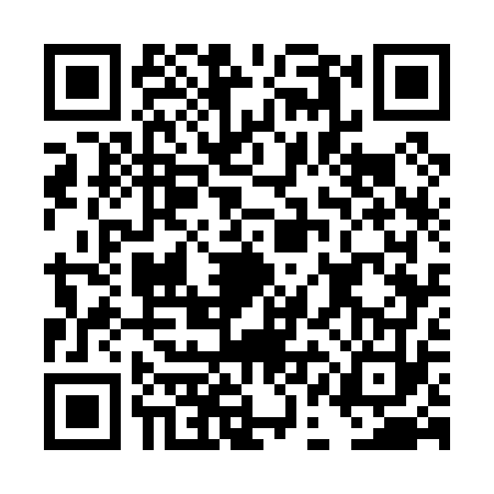 QR code for DAG0737