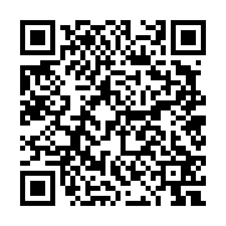 QR code for DAG4233