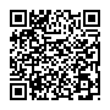 QR code for DAI0341