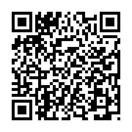 QR code for DAI3991