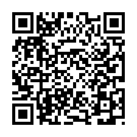QR code for DAL4896