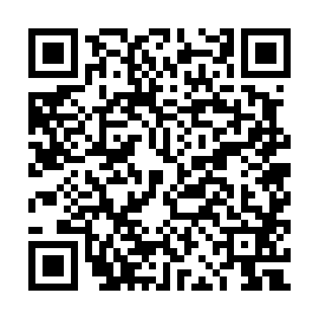 QR code for DBG4821
