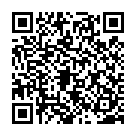 QR code for DBS4228