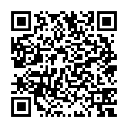 QR code for DCQ6383
