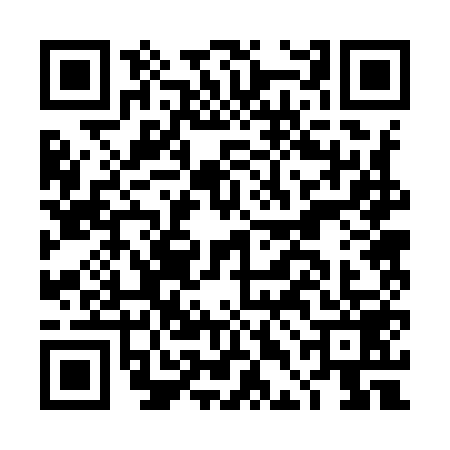 QR code for DDB9594