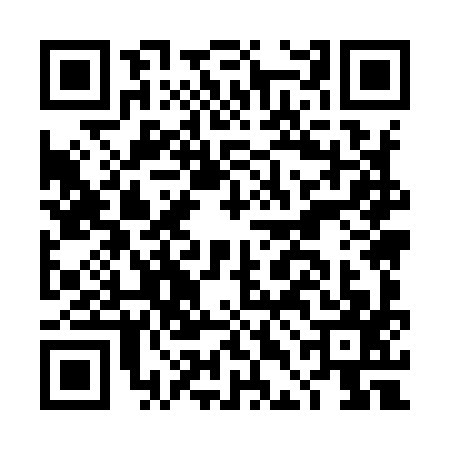 QR code for DDM9979