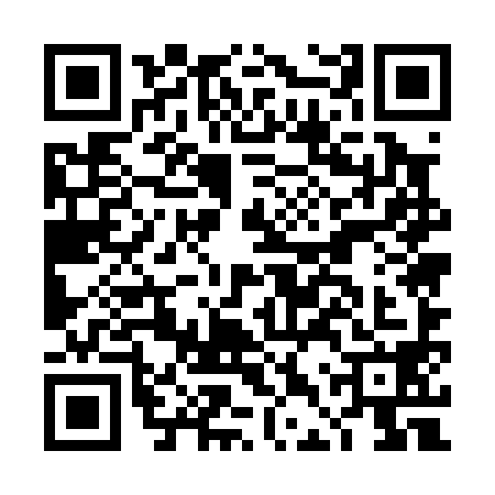 QR code for DDU0987