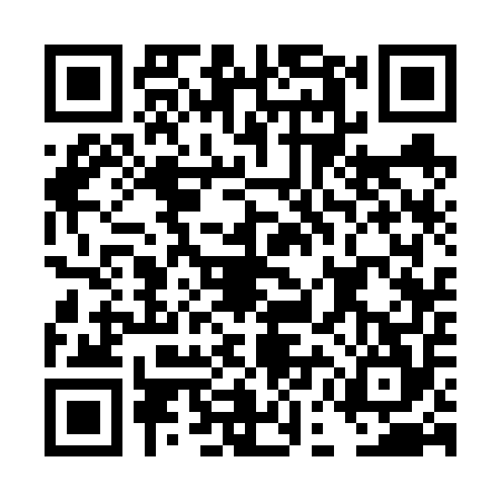 QR code for DEC6541