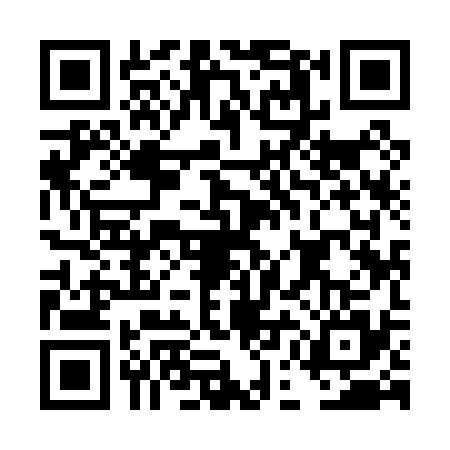 QR code for DEI0355