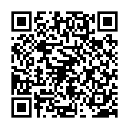 QR code for DEM2707
