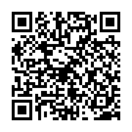 QR code for DEM2901
