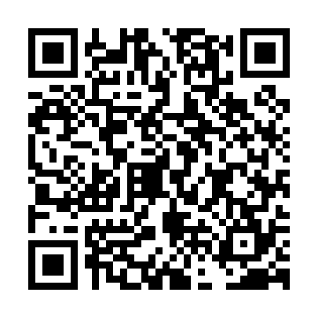 QR code for DFM0740