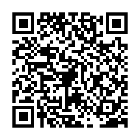 QR code for DFQ3381