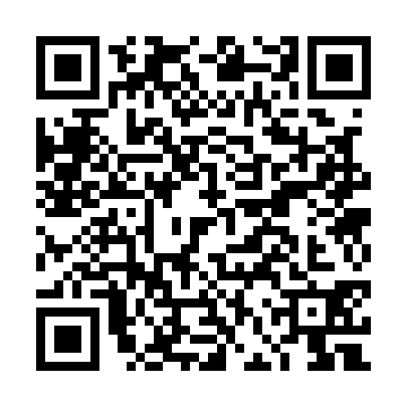 QR code for DFS1308