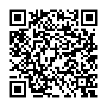 QR code for DFS1733