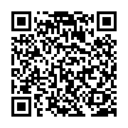 QR code for DG90SX