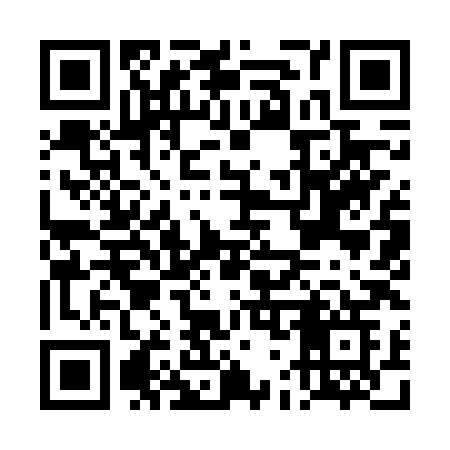 QR code for DG96XG