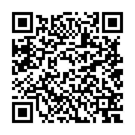 QR code for DGG8229