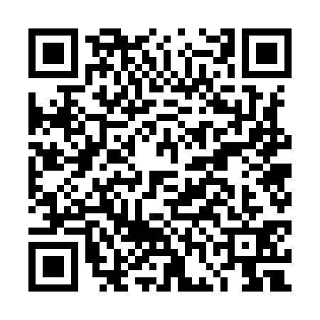 QR code for DGG9315