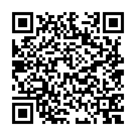 QR code for DGP9713