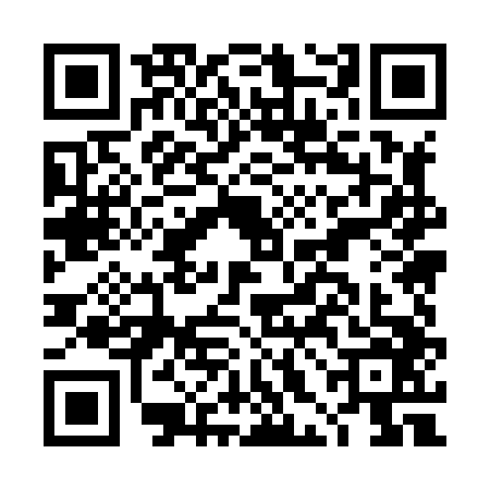 QR code for DHM8461