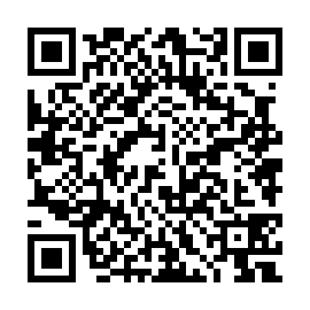 QR code for DHN0380