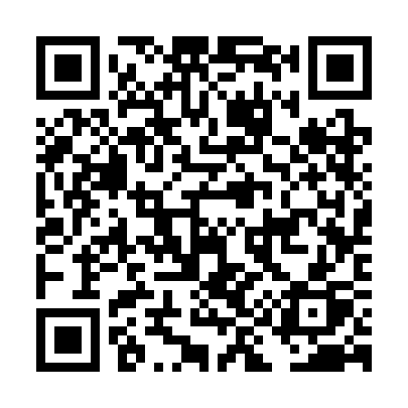 QR code for DI33CP