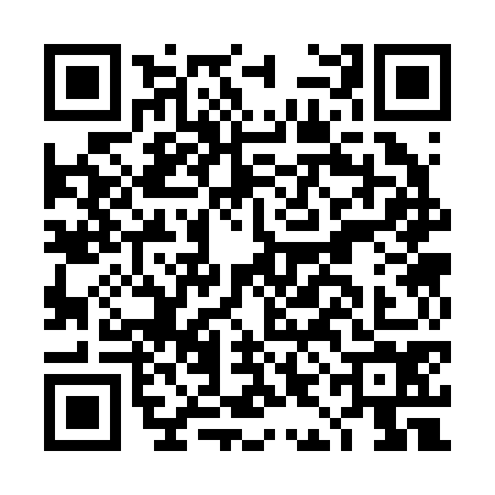 QR code for DIC2743