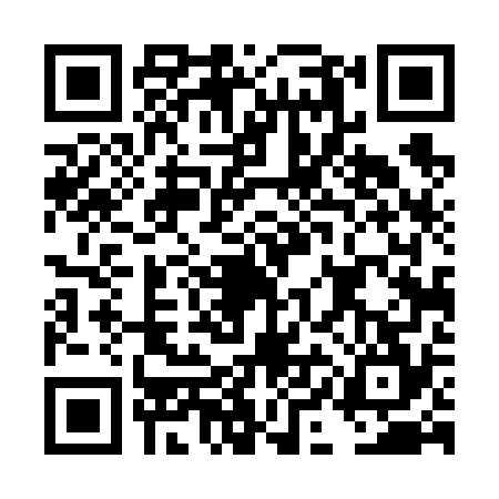QR code for DID6746