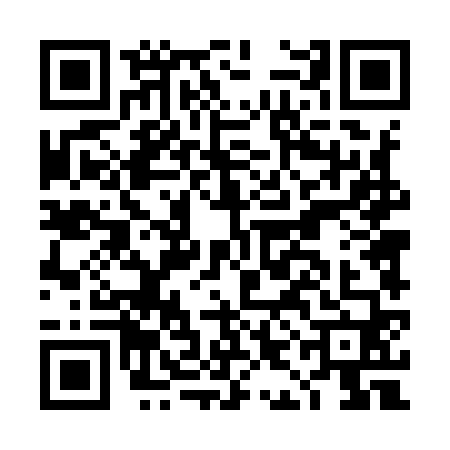 QR code for DID9604