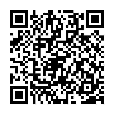 QR code for DII0323
