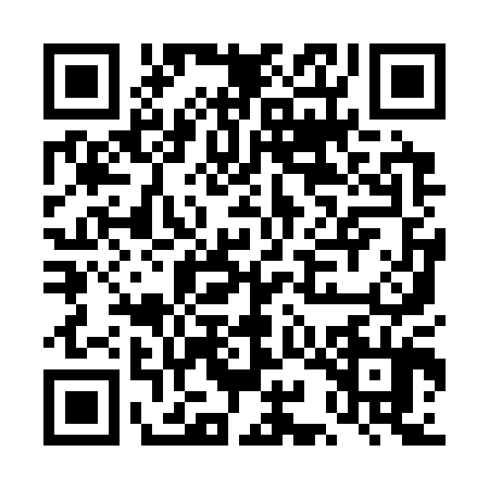 QR code for DII3041