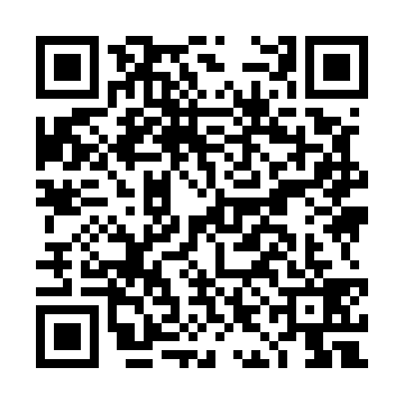 QR code for DII5393