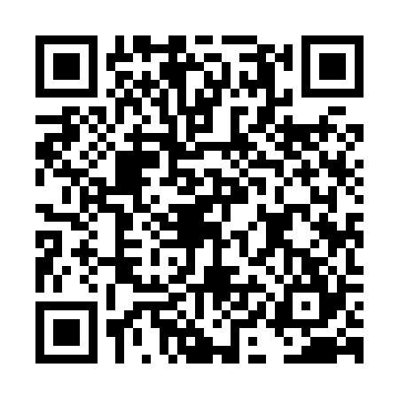 QR code for DII8249