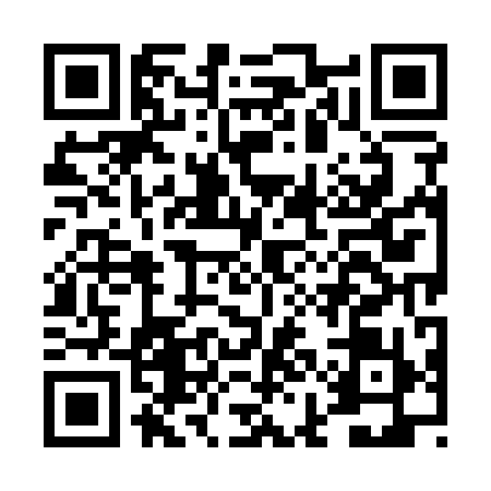 QR code for DIM1996