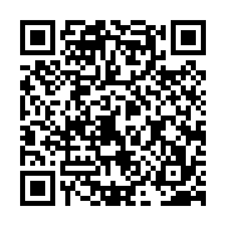 QR code for DIT0369