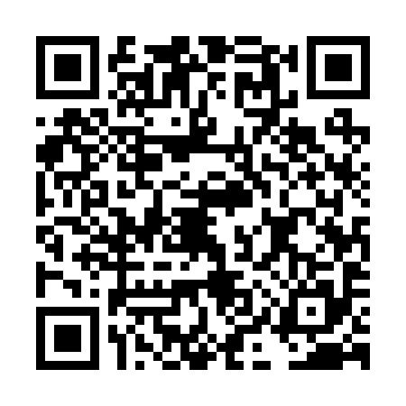 QR code for DIU2950