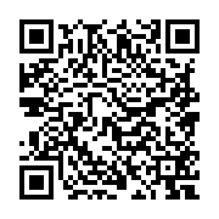 QR code for DIX9528