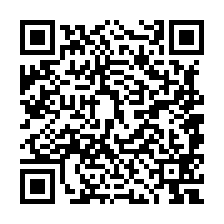 QR code for DJF8991