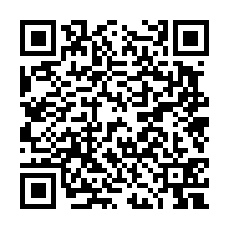 QR code for DJO4317
