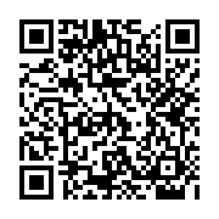 QR code for DKL4739