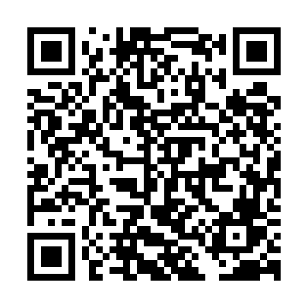 QR code for DL55FV